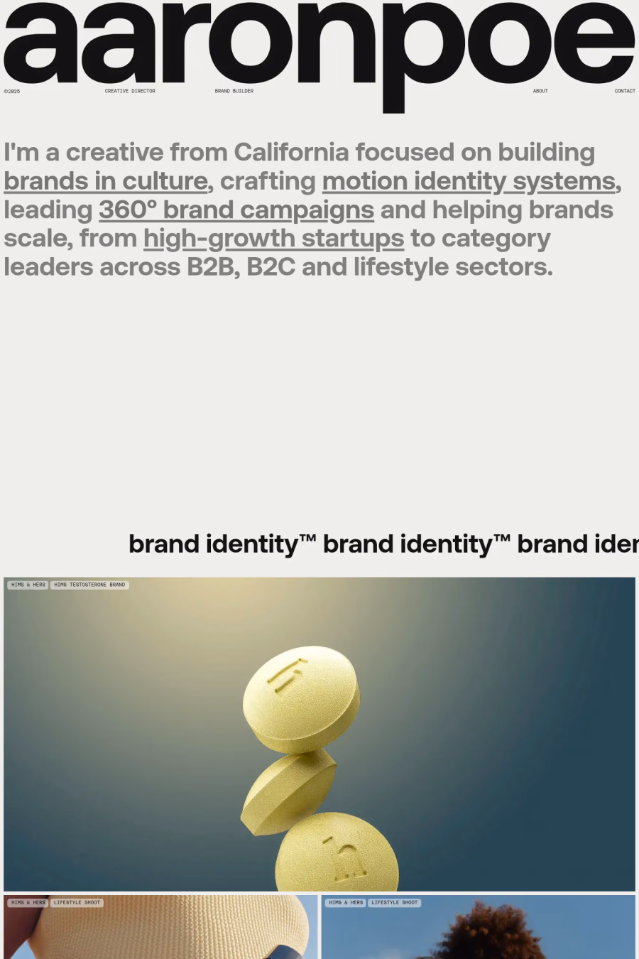 Aaron Poe website screenshot