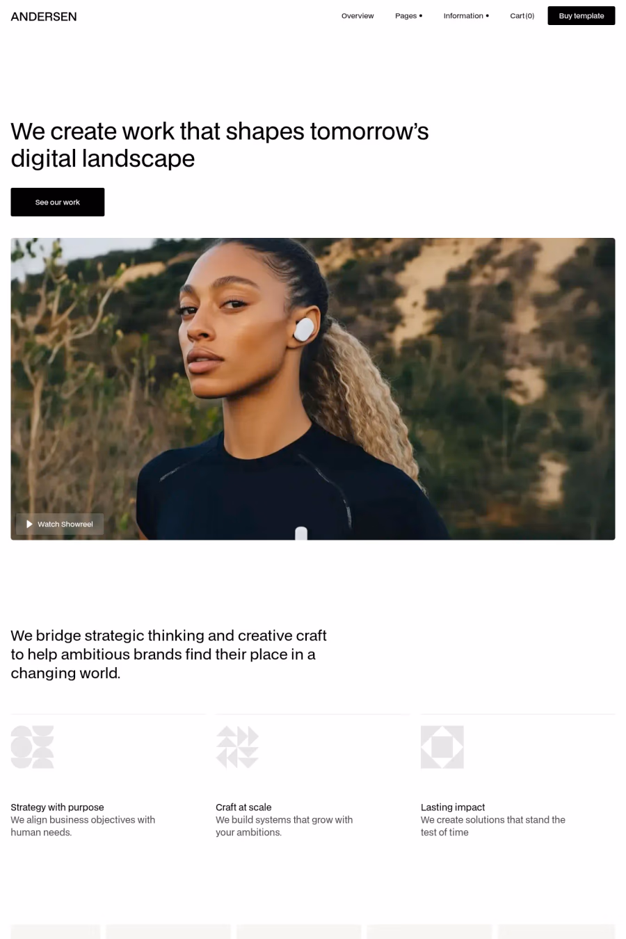 Andersen template screenshot