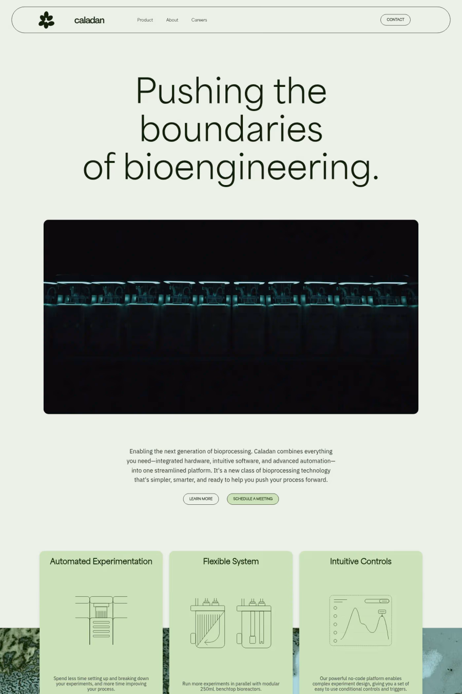 Caladan website screenshot