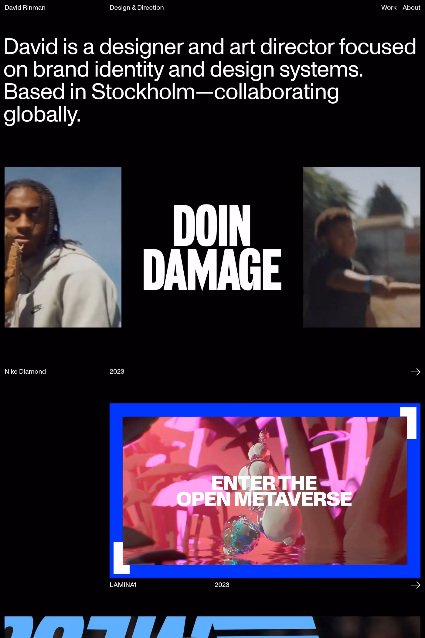 David Rinman website screenshot