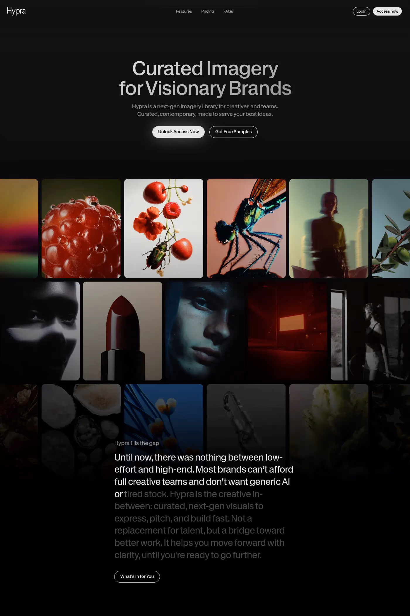 Hypra website screenshot