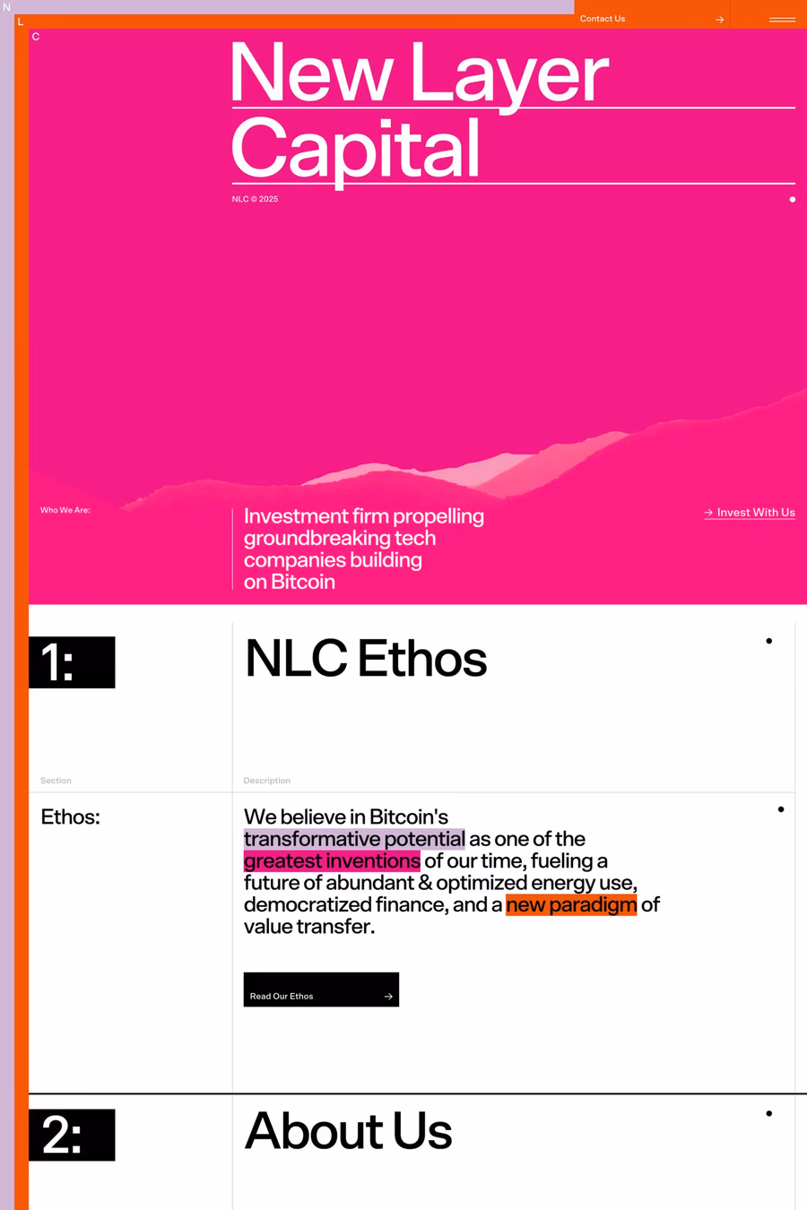 New Layer Capital website screenshot