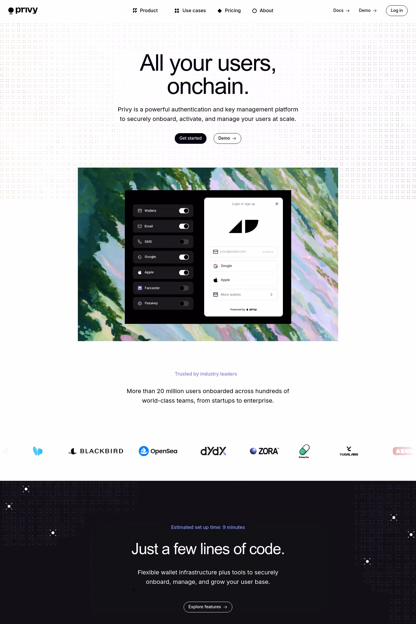 Privy website screenshot