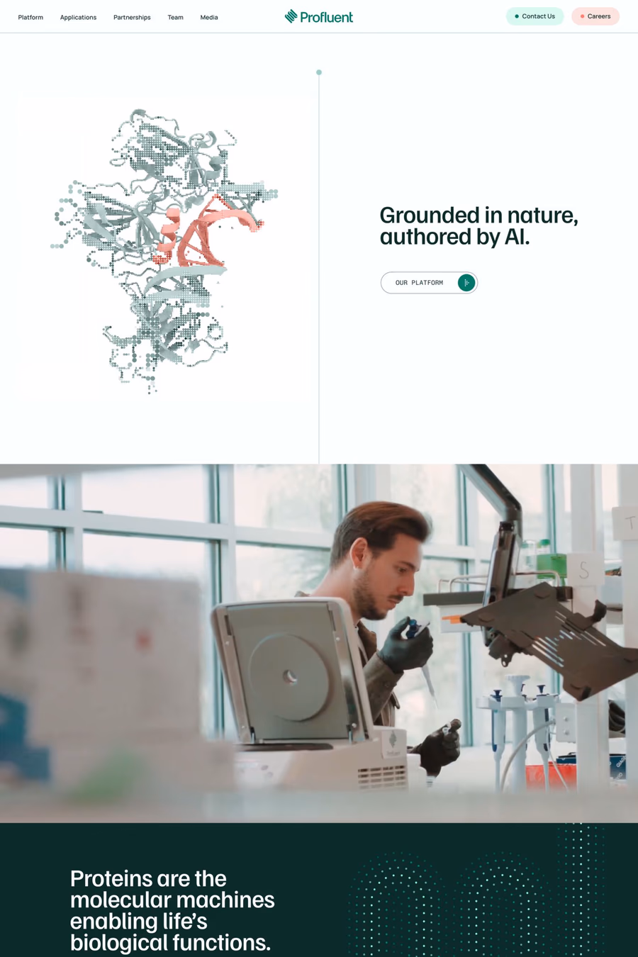 Profluent  website screenshot