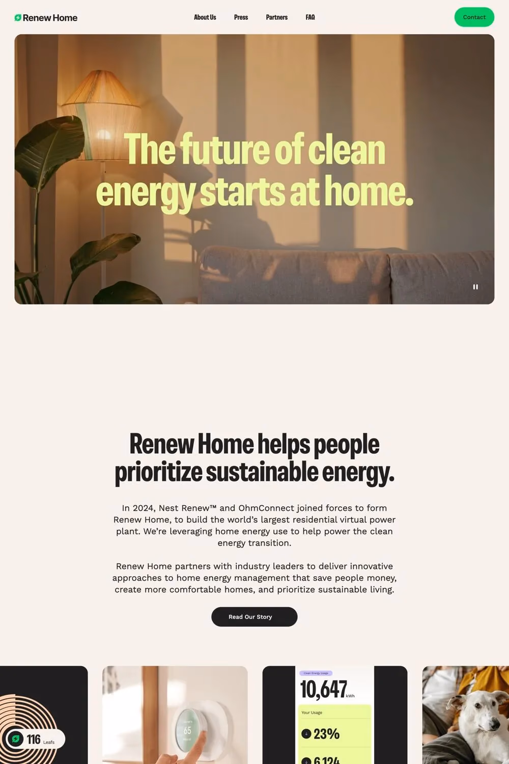 Renew Home website screenshot