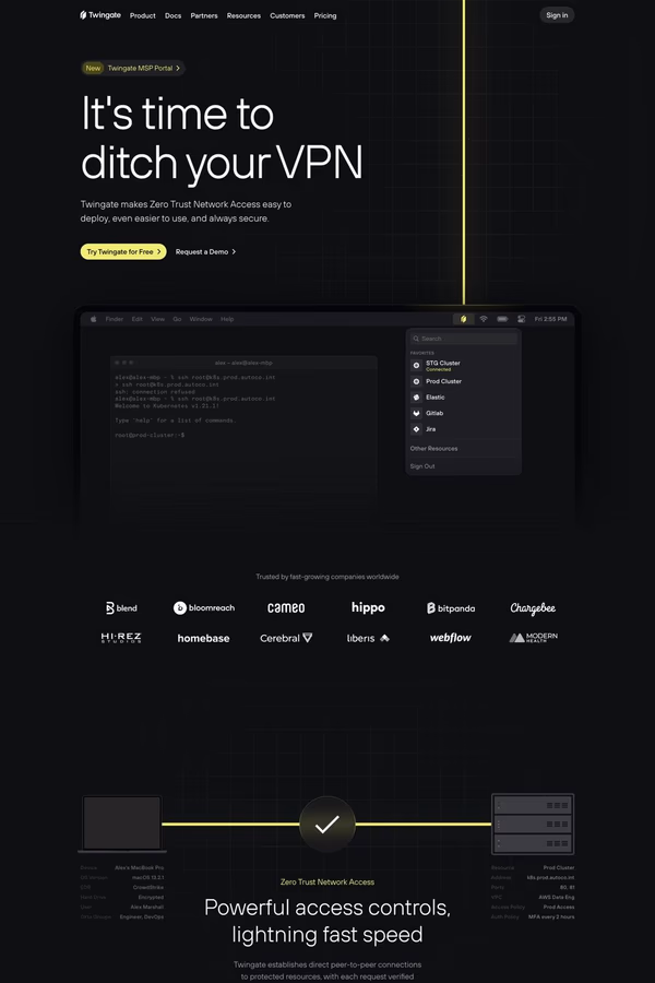 Twingate website screenshot